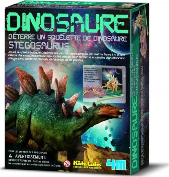Actual product image 4M Dig a Stegosaurus Skeleton