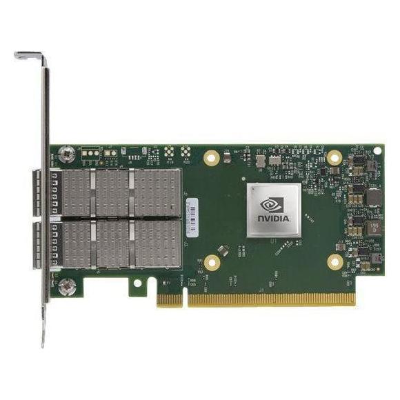 NVIDIA ConnectX-6 Dx EN adapter card 100GbE (PCI Express 4.0 x16), Netzwerkkarte, Grün, Grau