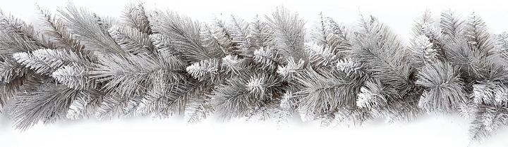 Image du produit Premier - Guirlande