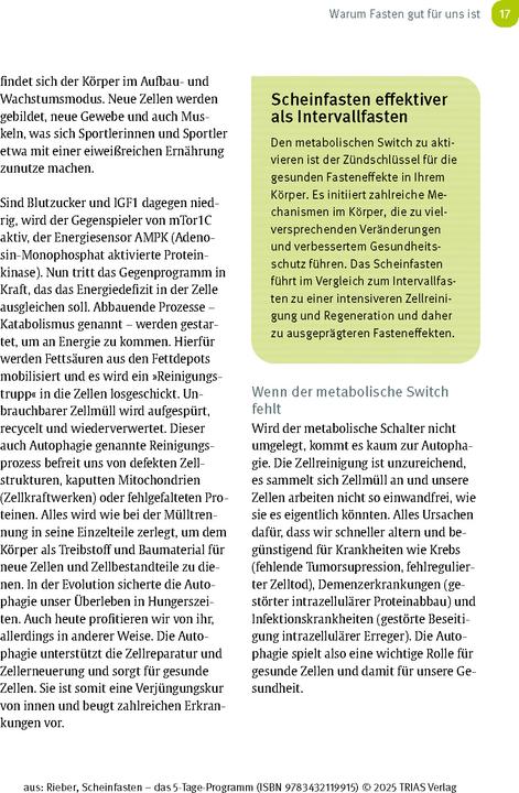 Immagine prodotto Scheinfasten - das 5-Tage-Programm (Tedesco, Riebera Dunja, 2025)