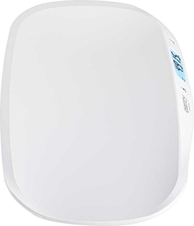 Produktbild Camry CR 8185 (20 kg)