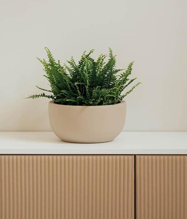 Actual product image Herstera Bowl Xat