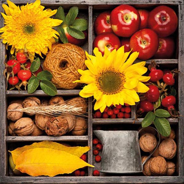 Image du produit Magni Serviette de table 24x24cm Composition d'automne (20 x, 24 x 24 cm)