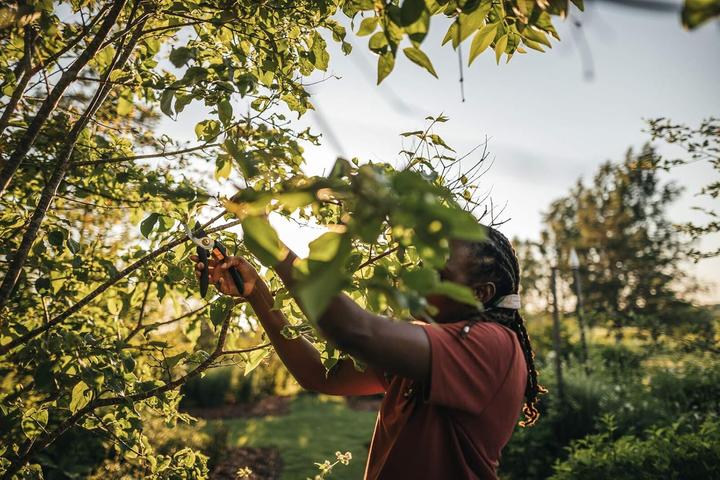 Produktbild Fiskars P321 SingleStep