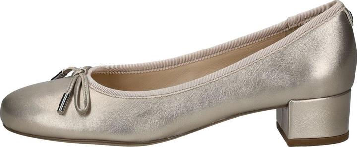 Image du produit Högl Pumps (39)