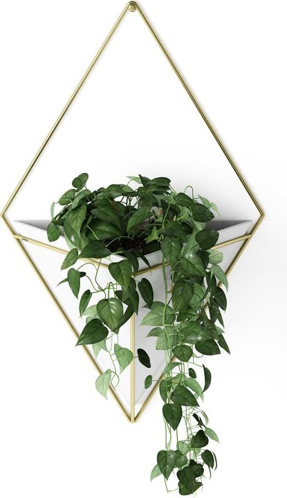 Immagine prodotto Umbra Trig (9.50 cm)