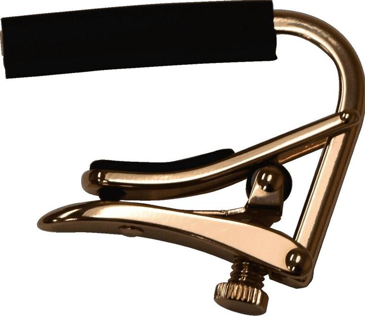 Shubb Capo C1 / Steel+Western rose gold (Capo)