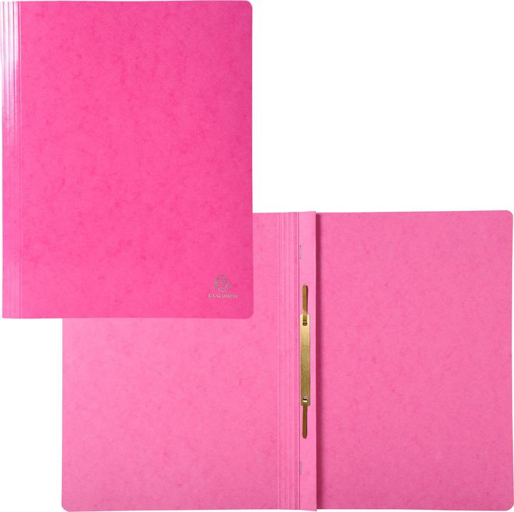 Image du produit Exacompta Classeur à levier (A4, 1x)