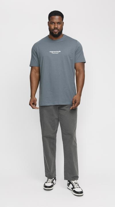 Actual product image Jack & Jones Jorvesterbro Tee Ss Crew Neck Noos Pls (8XL)