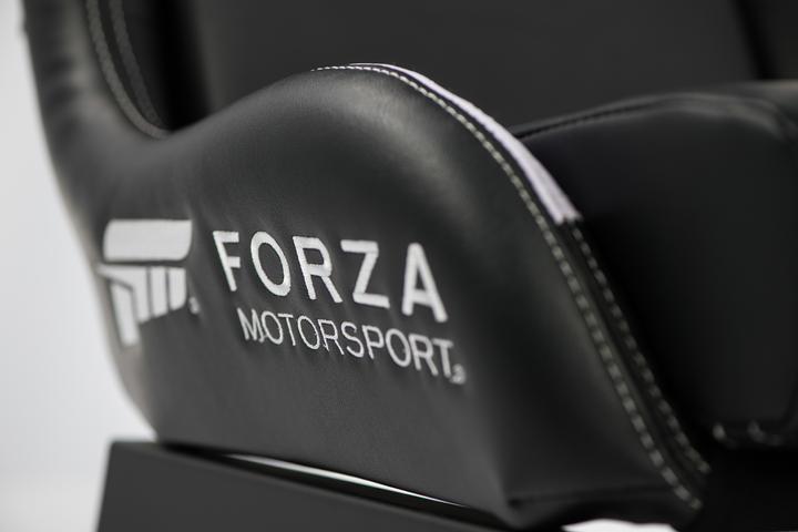 Actual product image Playseat Forza Motorsport