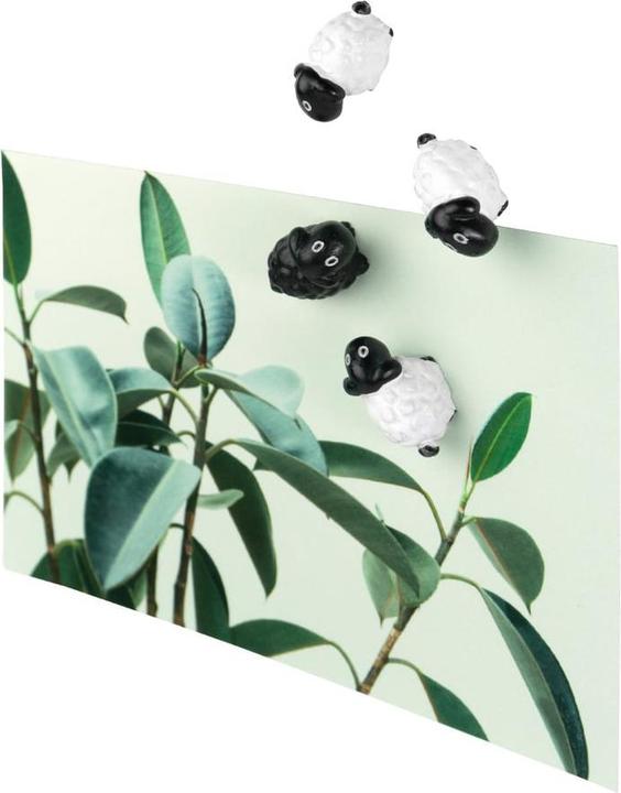 Image du produit Trendform Moutons (6 x)