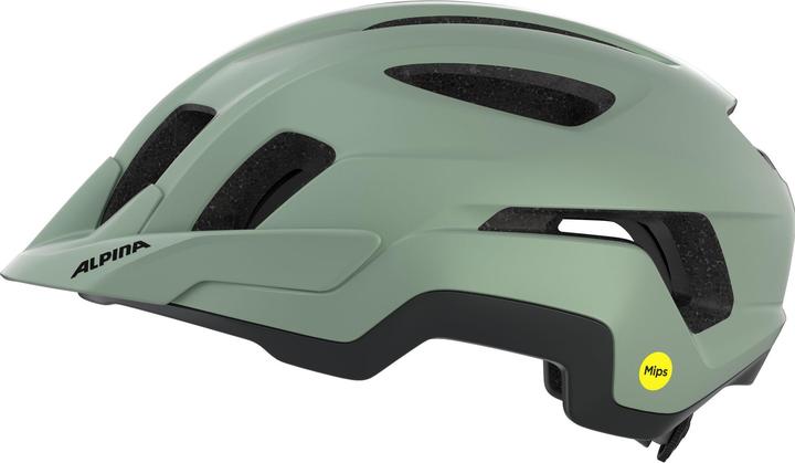 Image du produit ALPINA SPORTS Paranus Mips (59 - 61 cm)
