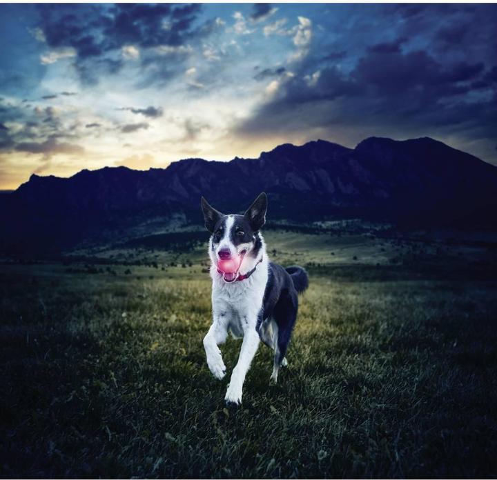 Immagine prodotto Nite Ize LED Glowstreak (Palla giocattolo per cani)
