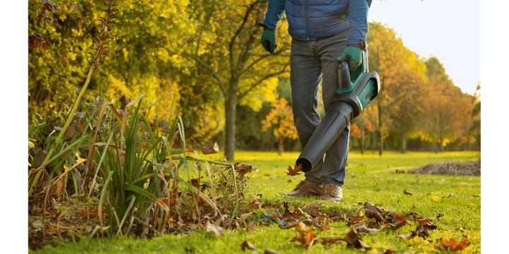 Actual product image Bosch Home & Garden AdvancedLeafBlower 36V-750 (Rechargeable battery operated, Leaf blower)