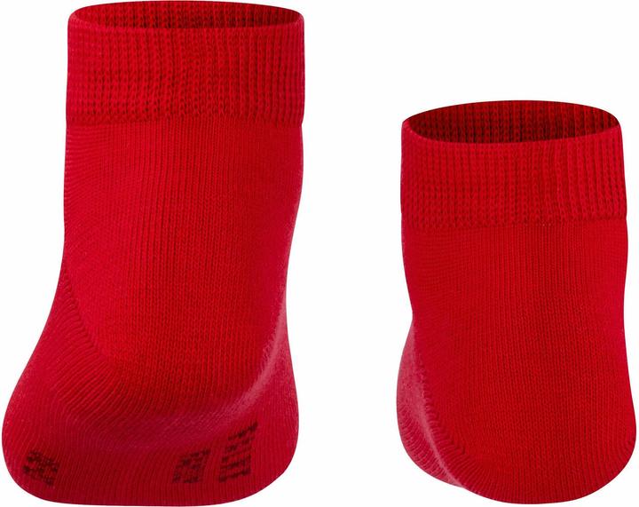Actual product image Falke Family SN (Single pack, 19 - 22)