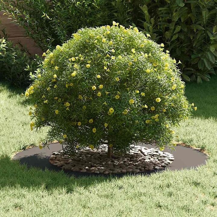 Immagine prodotto vidaXL Dekorativer Baum