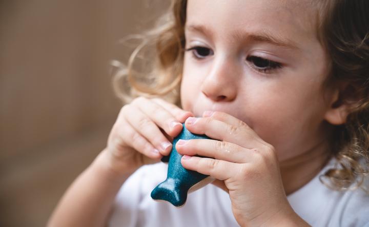 Produktbild Plantoys Pfeife Delfin