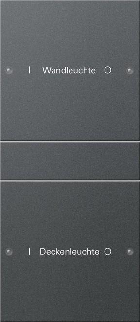 Actual product image Gira Rocker set 2f (1+1) inscribed System 55 220228