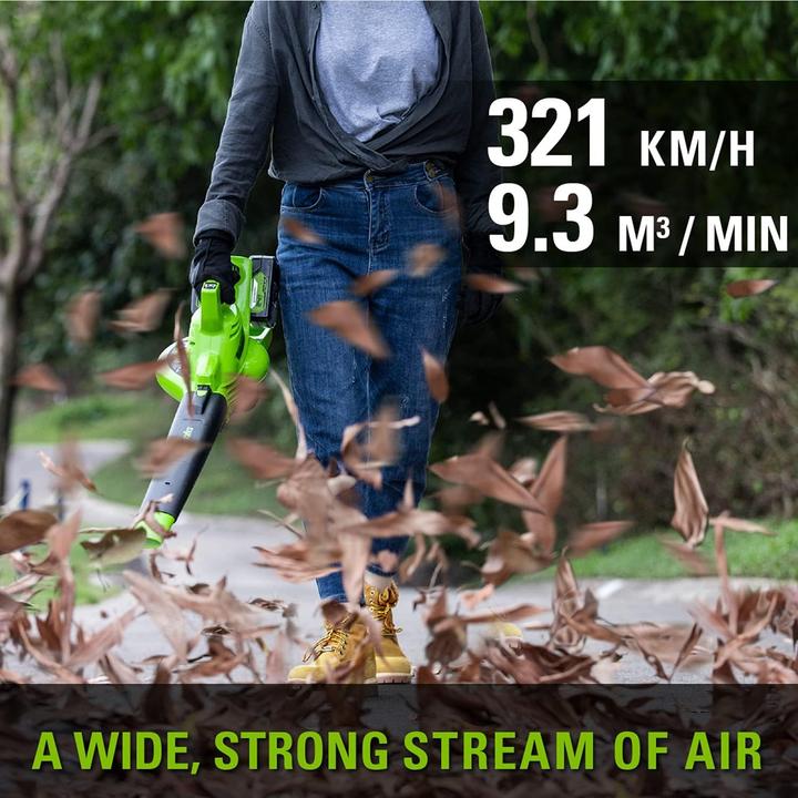 Productafbeelding Greenworks GD24X2BVK4X (Oplaadbare batterij, Vacuüm en ventilator)