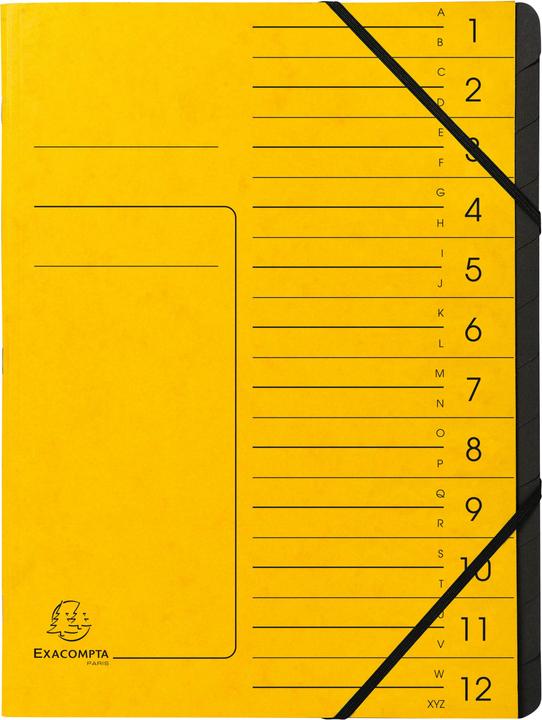 Actual product image Exacompta Stapled file folders (A4, 1x)