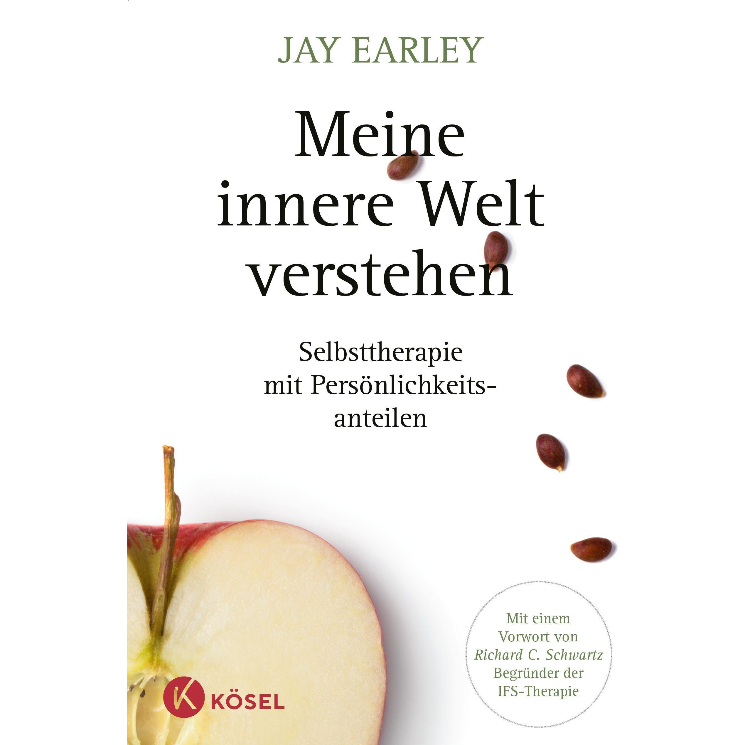 Meine innere Welt verstehen, Fachbücher von Jay Earley