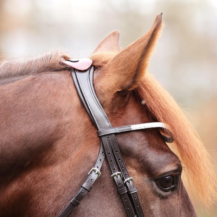 Image du produit Kavalkade Cre8 Malou