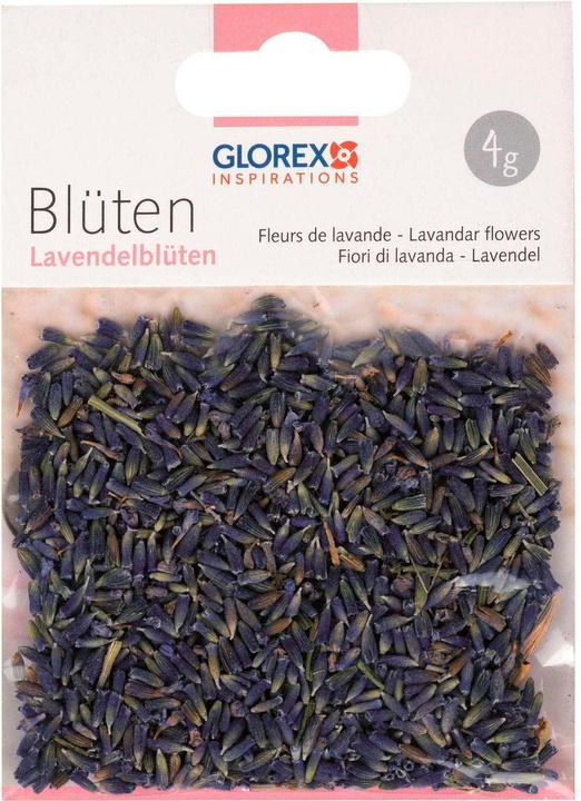 Glorex Fleurs