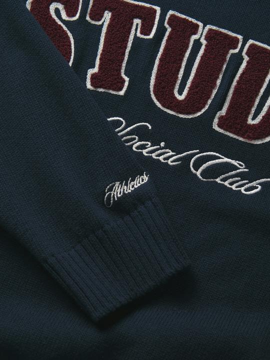 Actual product image JJXX JXBROOK Strickpullover Strickpullover (L)