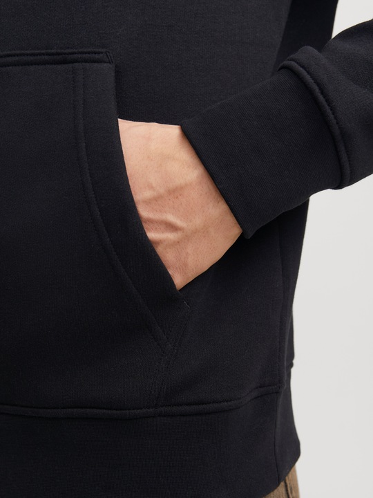 Actual product image Jack & Jones Jorvesterbro Block Sweat Hood Styd Aw24 (L)