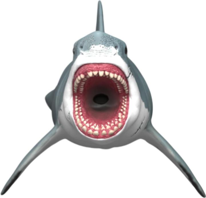 Produktbild Schleich Megalodon