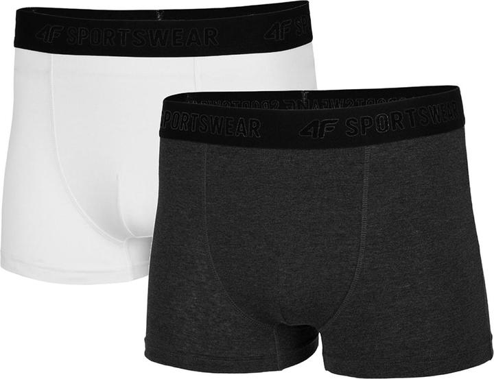 Produktbild 4F NOSH4 Boxershorts (2erPack) (S, 2er Pack)