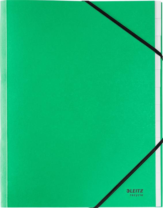 Image du produit Leitz Classeur Recycle A4 vert (A4, 1x)