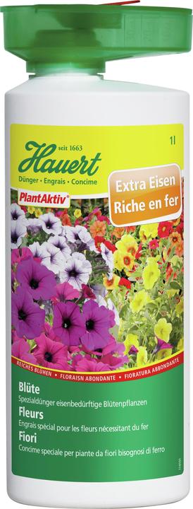 Hauert Blüte (1.33 kg, 1 l)