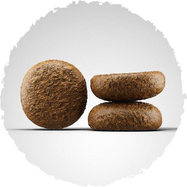 Actual product image Josera Senior Plus (Senior, 1 pcs., 12500 g)