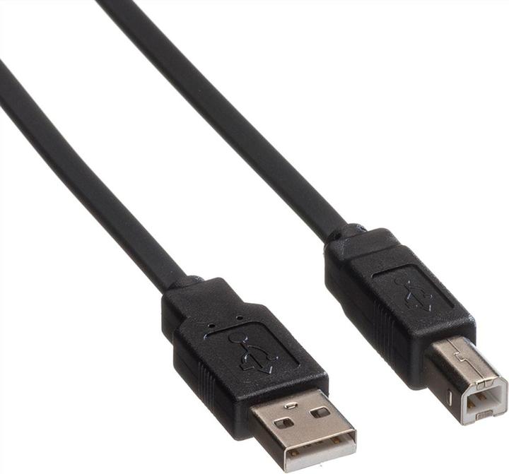 Immagine prodotto Roline USB 2.0 (0.80 m, USB 2.0)