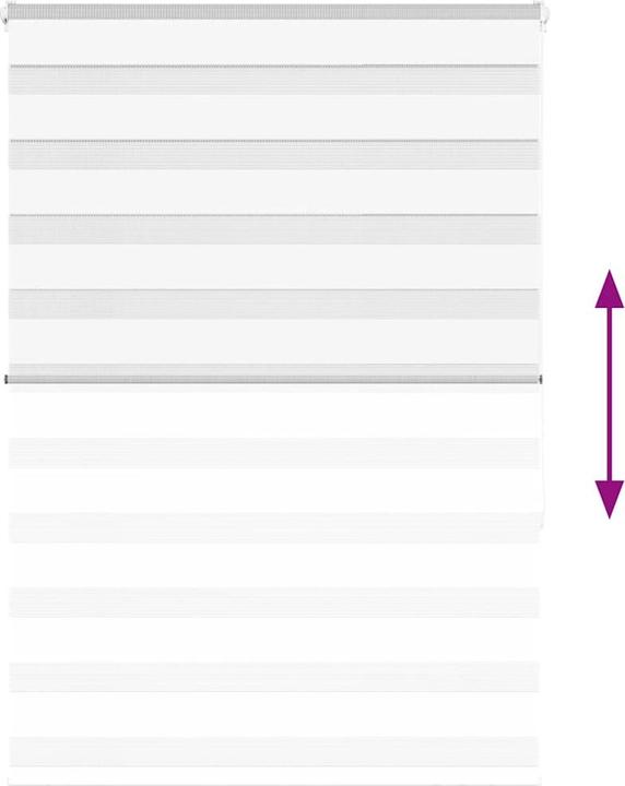 Produktbild vidaXL Zebra-Jalousie (105 x 150 cm)