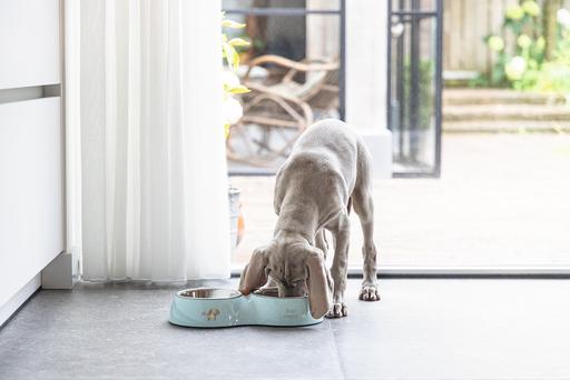 Actual product image Beeztees Puppies Double Feeding Bowl (35 cl)