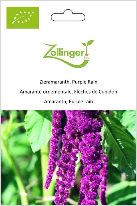 Image du produit Zollinger Bio Camarante décorative, Purple Rain