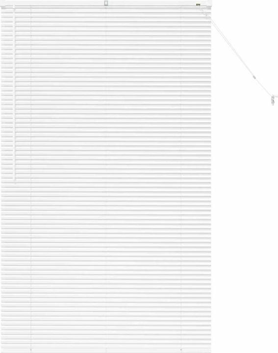 Actual product image VidaXL Fensterjalousien (105 x 175 cm)