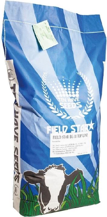 Ten Have Seeds Graszaad Field Star (Maaien) - 15 Kg (Lawn reseed)