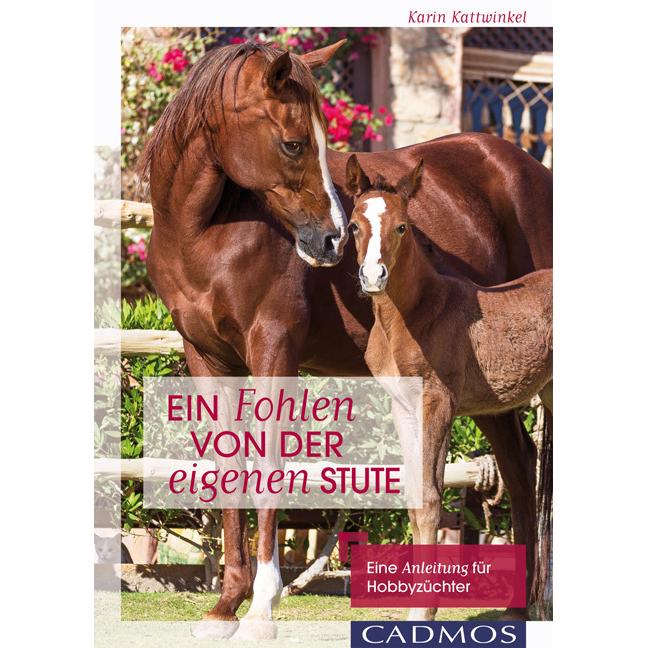 Ein Fohlen von der eigenen Stute, Ratgeber von Karin Kattwinkel