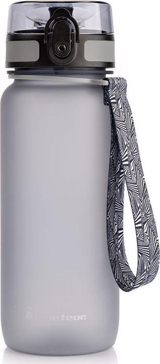 Ty Meteor bottle 650 ml 74576 (0.65 l)