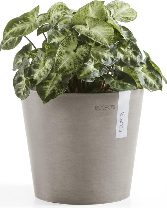 Immagine prodotto Ecopots Amsterdam Mini (17 cm)