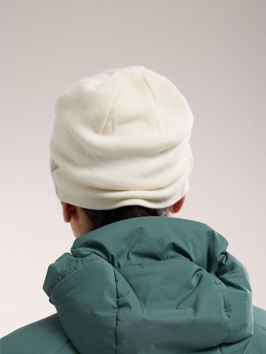 Produktbild Arc'teryx Word Head Toque (One Size)