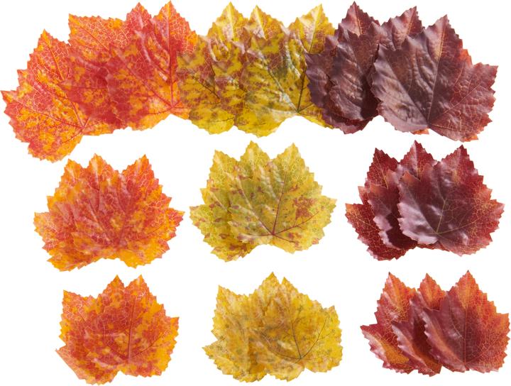 DPI Feuilles d'automne