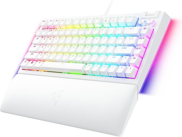 Image du produit Razer BlackWidow V4 75% (US, Filaire)
