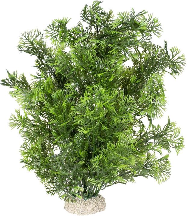 Produktbild EBI Aqua Della Pflanze Phoenix L (Dekoration, Pflanzen)