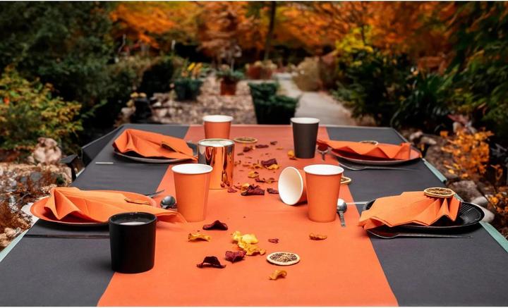 Actual product image PROnappe 20 paper plates Ø 23.0 cm (20 x)