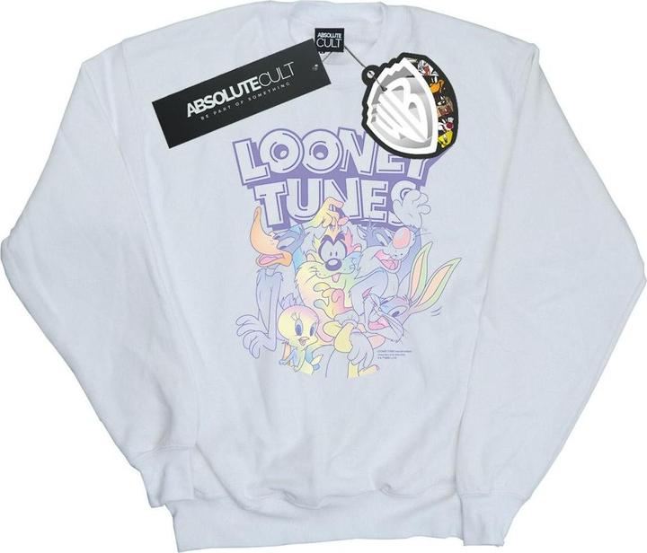 Produktbild Looney Tunes Rainbow Friends Sweatshirt (L)