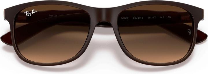 Produktbild Ray Ban Rb4202